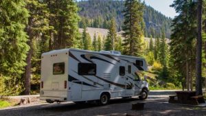 Commercial 9 Pest control for holiday parks