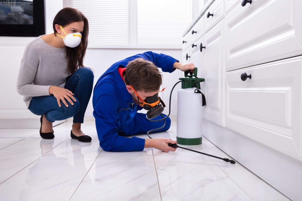 Pest Control FAQs What Every Homeowner Should Know Before Treatment