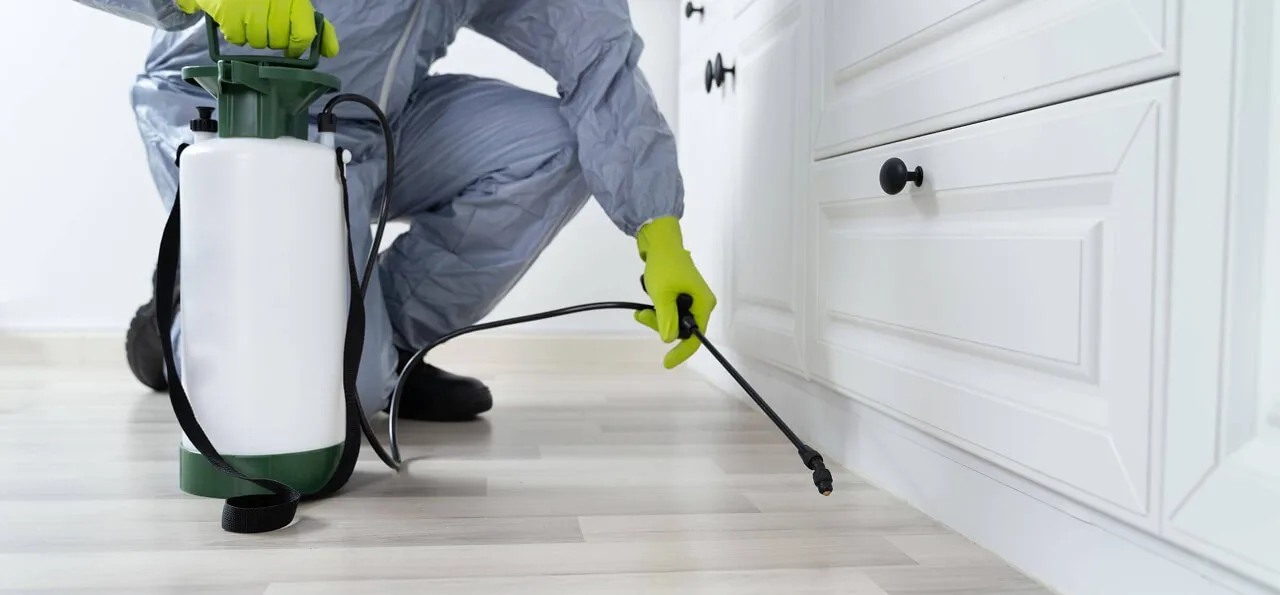 Person wearing gloves and protective suit sprays pesticide along the baseboard of a kitchen cabinet with a handheld sprayer.
